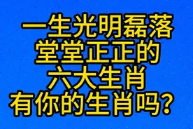 一生光明磊落，堂堂正正的，六大生肖，有你的生肖吗？视频封面