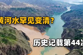 2024年刚开年，黄河水竟然罕见变清了？历史记载第44次变清澈！视频封面