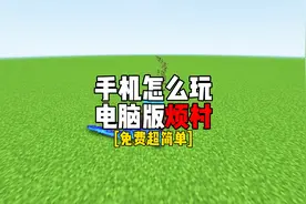 【我的世界】手机玩java烦人的村民保姆教程！！视频封面