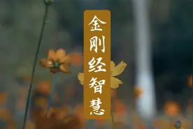 解读金刚经：一切有为法，如梦幻泡影，如露亦如电，应作如是观！视频封面