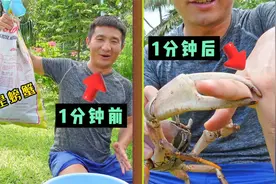 《瓦努阿图》第12集：晚上的红树林遍地是大螃蟹，随便抓抓一麻袋视频封面