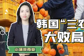 一次性讲清韩国农业的真相视频封面