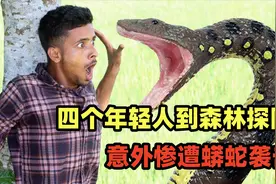 四个年轻人到原始森林探险，不仅遇到了野人，还遇到了蟒蛇视频封面