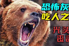 熊出没真相！光头强惨死熊口！视频封面