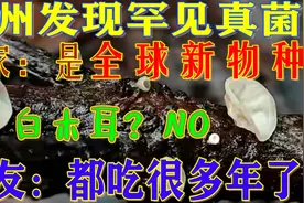 杭州发现罕见真菌，专家：是“全球新物种”！网友：都吃很多年了视频封面
