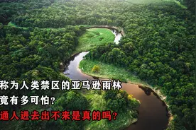 被称为人类禁区的亚马逊雨林，究竟有多可怕？普通人进去出不来？视频封面