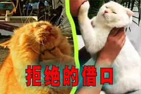爆笑解说：当你想要拒绝别人，你会找什么样的借口？视频封面
