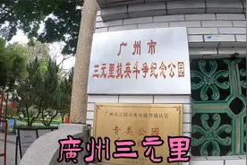 鸦片战争唯一亮点：广州三元里村民自发组织抗英斗争取得胜利视频封面