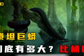 6500万年前的泰坦巨蟒有多恐怖？48英尺长，能吞下重达一吨的鳄鱼视频封面