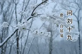 晚来天欲雪，能饮一杯无？《问刘十九》唐 白居易视频封面
