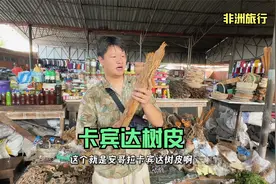 非洲人喜欢的卡宾达树皮,喝了之后到底啥感觉呢?视频封面