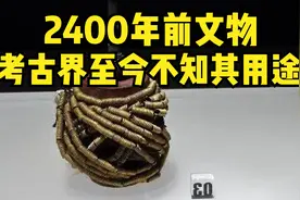 2400年前文物金弹簧器，考古界至今不知其用途，你知道它的作用吗