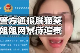 警方通报胖猫案后网暴责任待追究！谭女士脱刑责但非议会消失么？视频封面