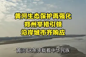 黄河生态保护再强化：郑州举措引领，沿岸城市齐响应视频封面