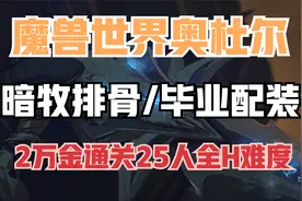 【魔兽世界】WLK奥杜尔暗牧最强排骨配装 约等于不花钱打通25H视频封面