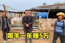 山西吕梁山区，大叔养了70多只山羊，一年能赚5万块钱，太厉害了视频封面