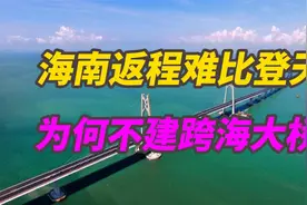 新能源车大量滞留，返程机票涨到2万，海南为何不建跨海大桥？视频封面