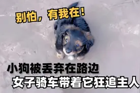 两个月的小狗被扔掉，女子骑车带着它一路狂追主人，结局暖心！视频封面