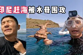 《印度尼西亚》第7天：赶海被水母围攻就算了，连打的鱼也来气我视频封面