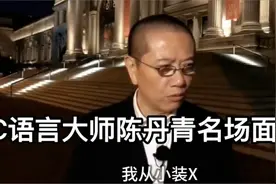C语言大师陈丹青名场面：开口就是国粹了，大师这么接地气的嘛视频封面