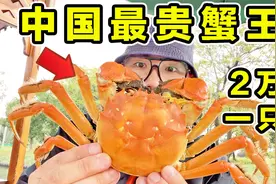 探秘中国蟹王！2万元一只！吃起来什么味道？视频封面