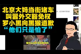 两个道歉：北京外交车牌大妈叫嚣外交豁免权 罗小黑向黑猴道歉视频封面