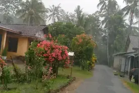 偏远村庄2小时特大暴雨打雷|快速入睡视频封面