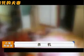 夫妻二人惨遭杀害！谁也没想到，真凶竟然是自家人！ #我的观影报视频封面