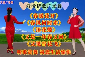 《春暖花开》《春风何时来》《又见雪花飞》《又是一年春又回》视频封面
