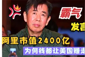 戴旭：阿里市值2400亿，日本占34%，美国占23%，钱都让外国赚了视频封面