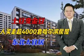 土豆变金豆，外地人俩月买走超4000套哈尔滨房屋，东北太宜居视频封面