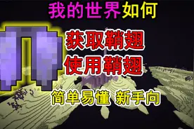 我的世界如何获取使用鞘翅？一个视频教会你视频封面