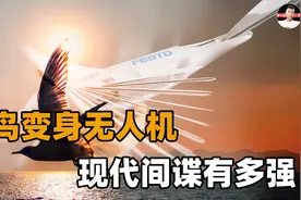 新型军事间谍？美国把死鸟改成仿生无人机！今后将越来越难甄别视频封面