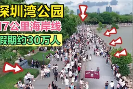 深圳湾公园，出了地铁就能看海，17公里海岸线，假期一天约30万人视频封面