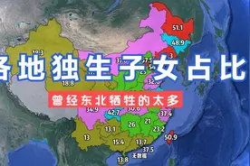 各地独生子女占比，从数据看当年东北“牺牲”了太多！#东北