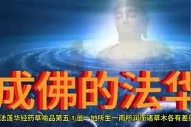 妙法莲华经药草喻品第五③虽一地所生一雨所润而诸草木各有差别视频封面