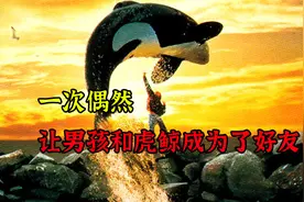 一次机缘巧合，让男孩和虎鲸成为了好友视频封面
