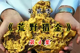 这个地方捡金子真的太轻松，70多克的狗头金随便挖视频封面