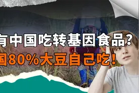 只有中国吃转基因？美国80%转基因玉米不出口，不吃难道放着看？视频封面
