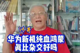 华为mate70上纯血鸿蒙系统 不兼容安卓app影响使用吗 新上功能？视频封面