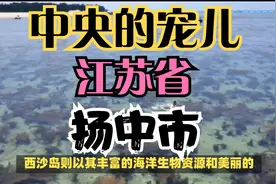 扬中市——中央的宠儿视频封面