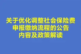 关于优化调整社会保险费申报缴纳流程的公告的解读及对个人的影响视频封面