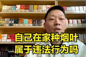 自己在家种烟叶违法吗视频封面