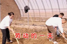 又是一年春种时，干了一天的活，吃一份儿碗托都格外的香。视频封面