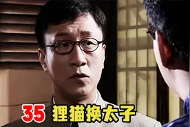 卧底狸猫换太子救专家，刘闪登场砍甘蔗，舒服了！