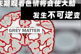 色情片将会导致大脑出现不可逆变化！视频封面