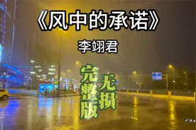 曾经在风中对我说永远不离开我，可最后换来这样的结果，谁的错？视频封面