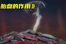 母体内的胎盘都有什么作用呢？视频封面