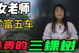 这三棵竟然是最贵的树？价值超过亿元！视频封面