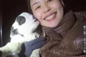 大晚上给出生不久的羊羔人工喂奶，羊群也有“霸凌”！这是为啥？视频封面